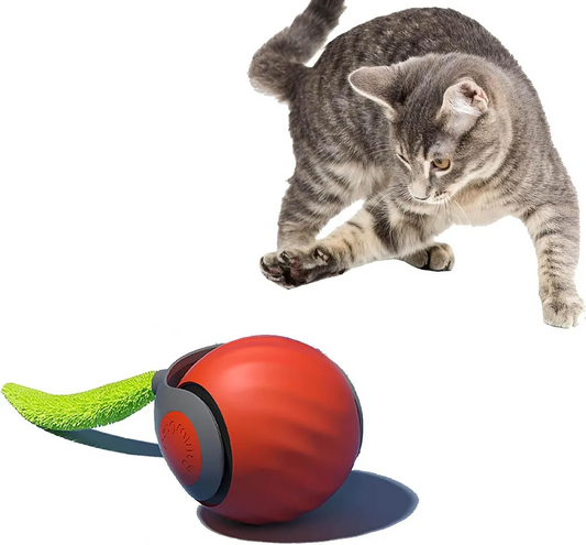Pelota Interactiva Gatos Beepaw Speed-e Con Pluma