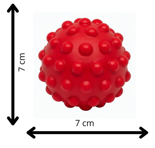 Pelota Con Bolitas De Goma Juguete Perro C/ Chifle